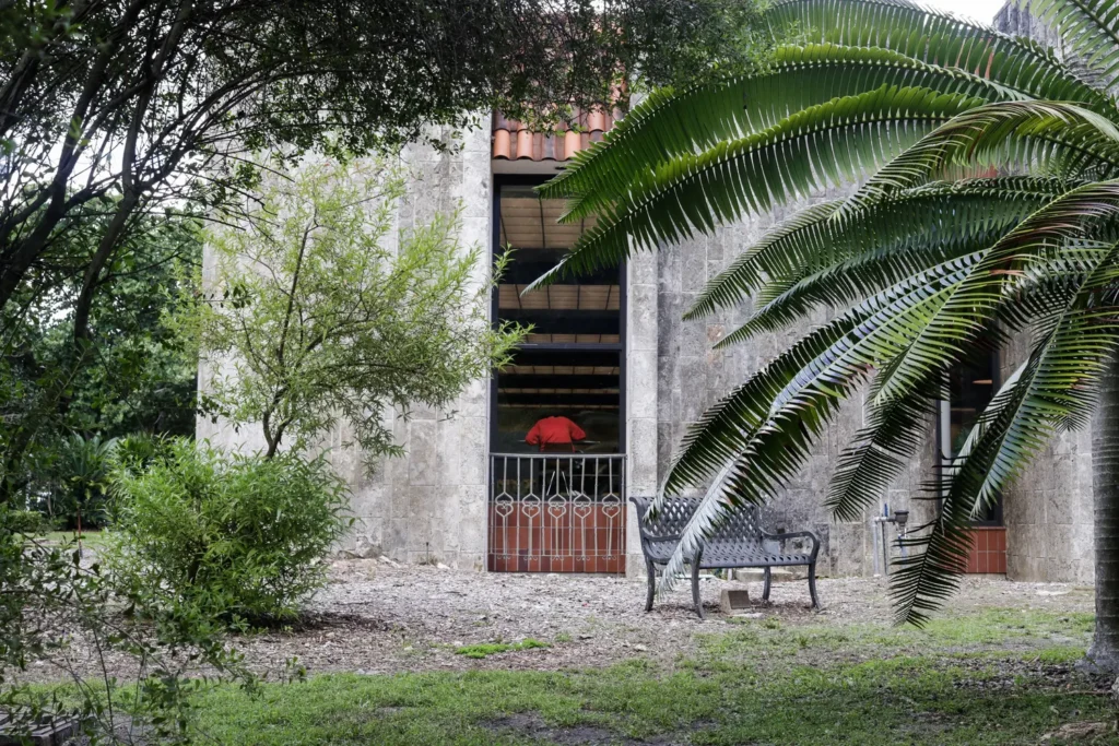 Courtyard with a palm tree and a bench